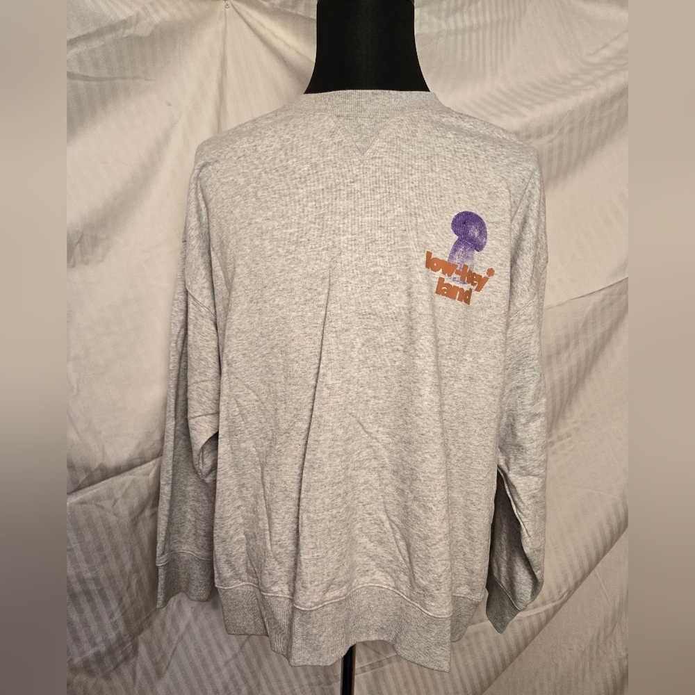 H&M Gray Sweatshirt "Low Key Land"  TJ